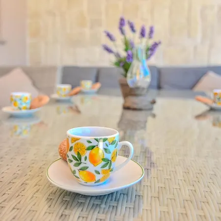 Villa Casa Di Marko-new Modern Rustic House With Pool And Spacious Garden! Privlaka (Zadar)